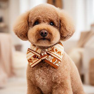 Instagram thumbnail of boutique pet accessory styling